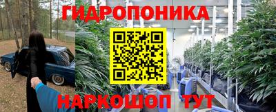 крисы Пугачёв